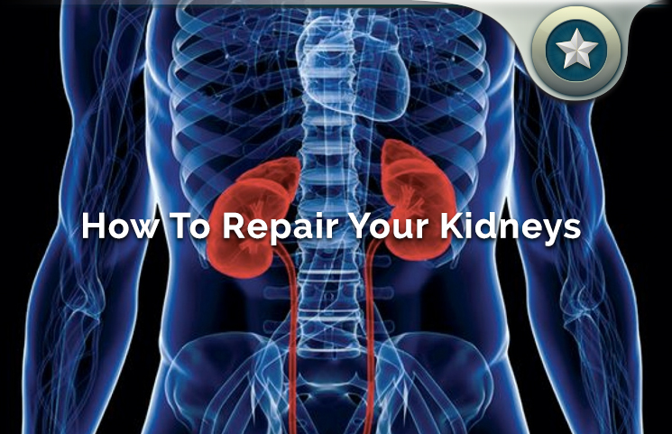 Kidney Disease Repair