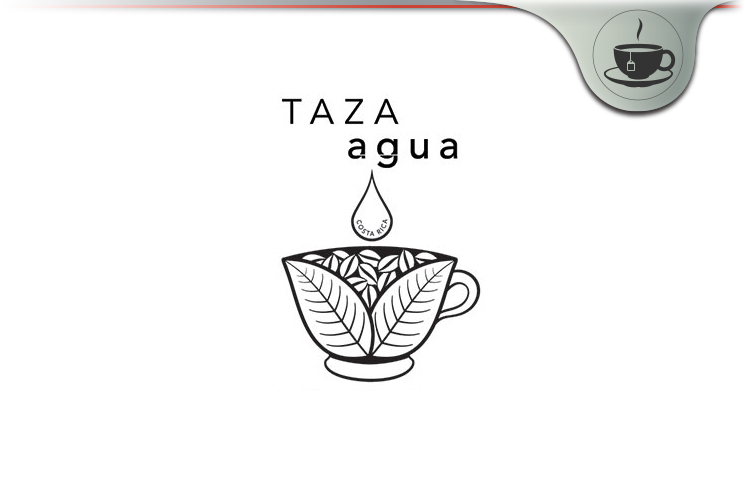 Taza Agua Review