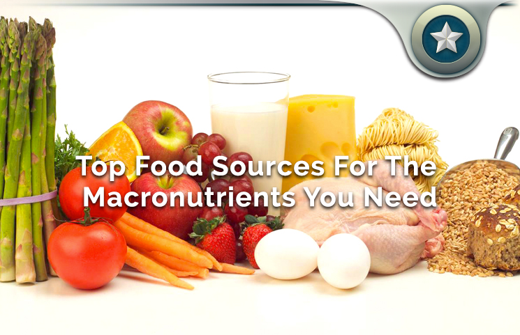 Top Macronutrient Food Sources