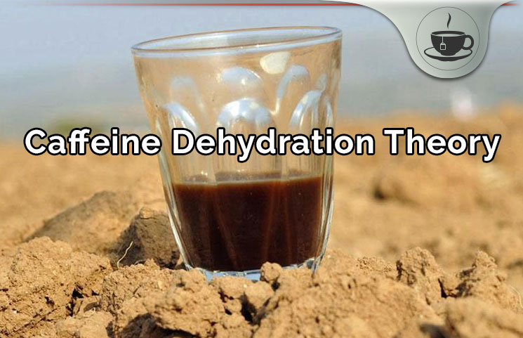 Caffeine Dehydration