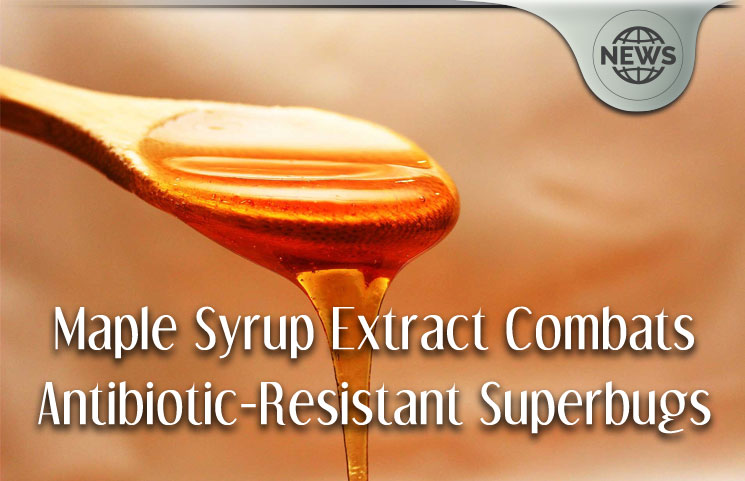 Maple Syrup Extract Combats Antibiotic-Resistant Superbugs