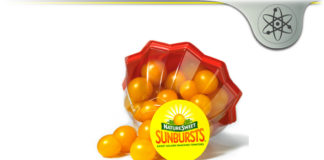 Nature Sweet – Fresh Nutritional Tomatoes For Salads & Snacks? Nature Sweet