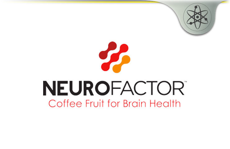 NeuroFactor
