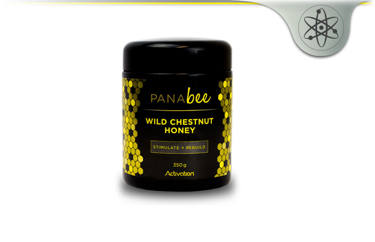 Panabee Wild Chestnut Honey