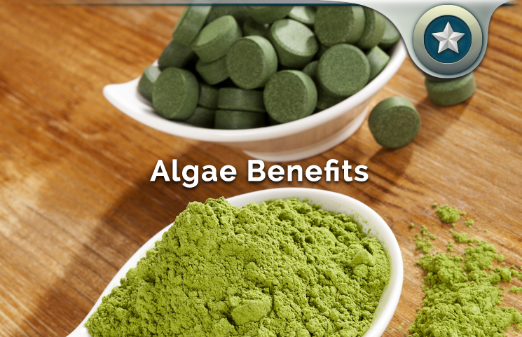 Algae Benefits