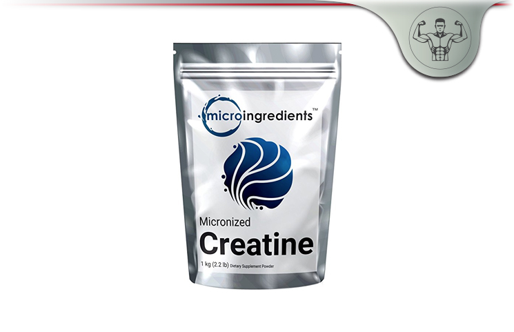 Micro Ingredients Micronized Creatine