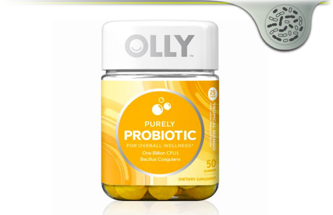 olly multi probiotic