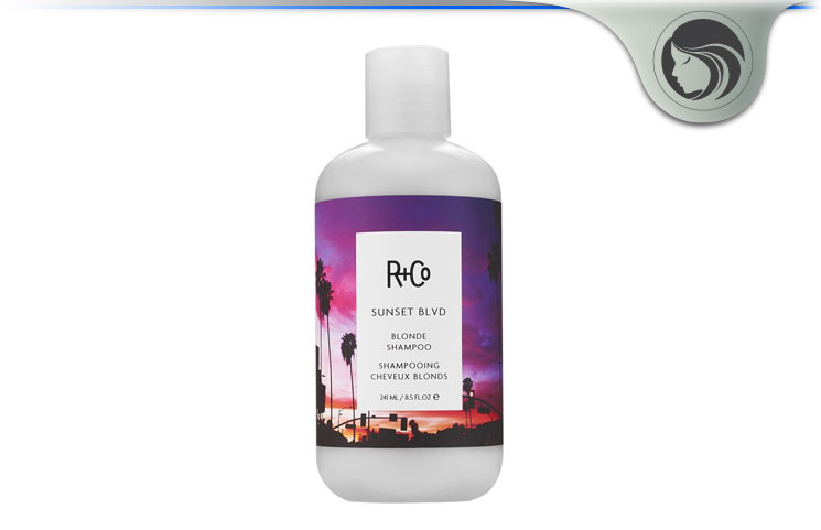 R+Co's Sunset Blvd Blonde Shampoo