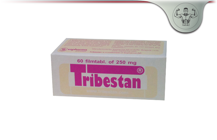 Tribestan Tribulus Terrestris