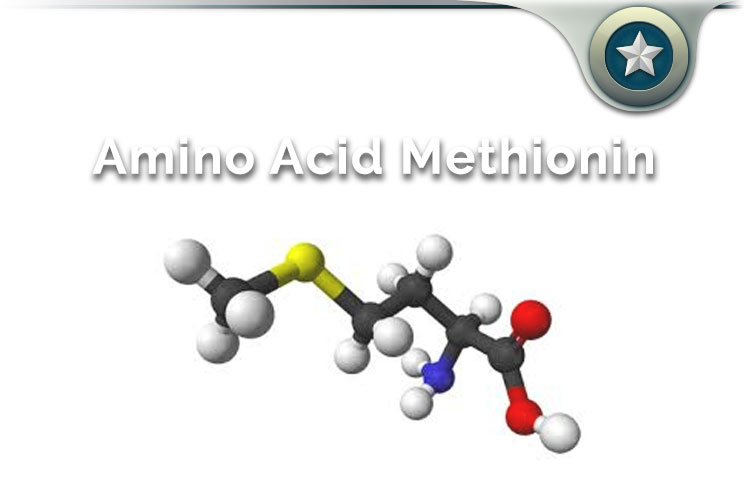 Amino Acid Methionine