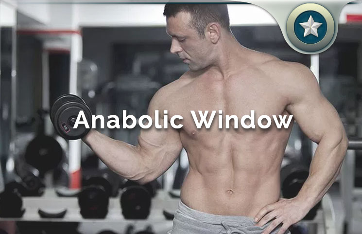 Anabolic Window