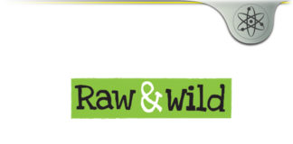 Raw & Wild Activated Pili Nuts – Vitamin & Mineral Rich Snacks? raw and wild pili nuts