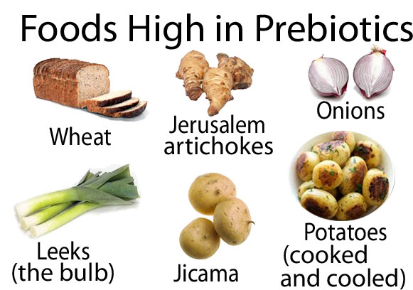Foods High in Prebiotic