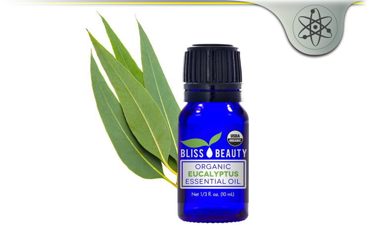 Bliss Beauty Organic Eucalyptus Essential Oil