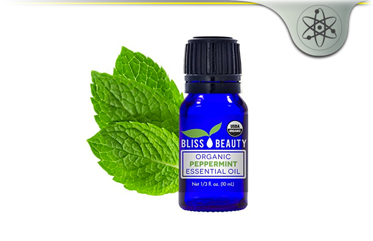 Bliss Beauty Organic Peppermint Essential Oil