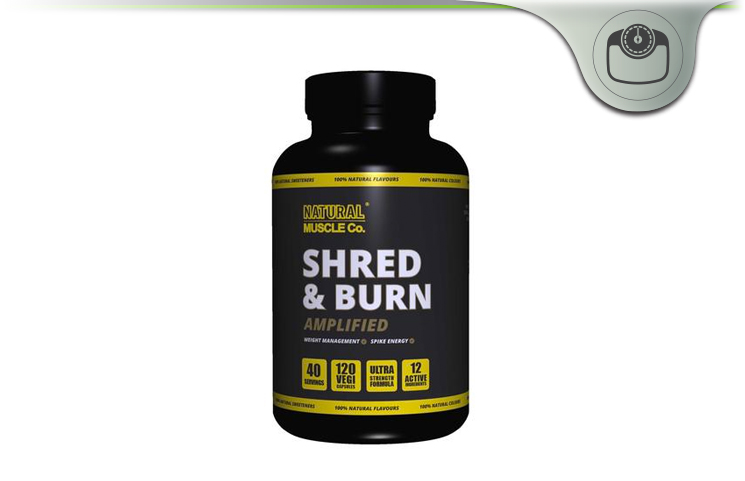 Shred & Burn Amplified