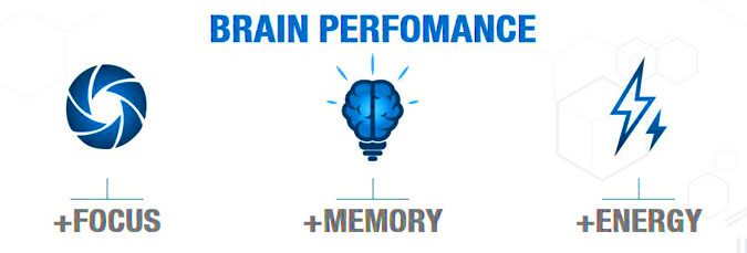brain performance