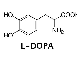 l-dopa