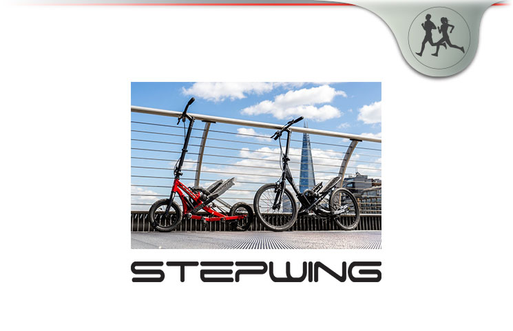Stepwing