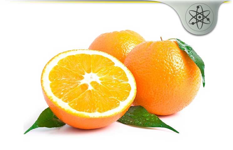Citrus Aurantium Bitter Orange