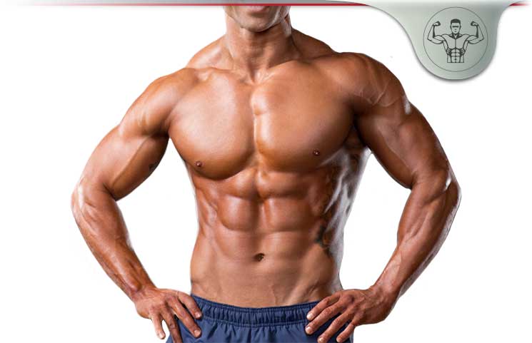 Ketogenic Diet Bodybuilding Supplements