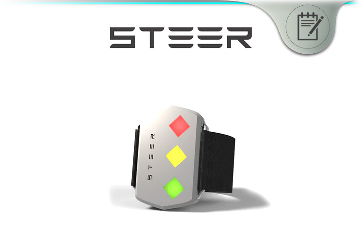 steer