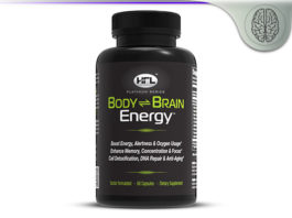 brain body energy