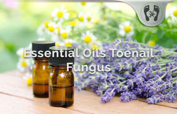 essential oils toenail fungus