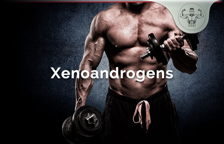 Xenoandrogens