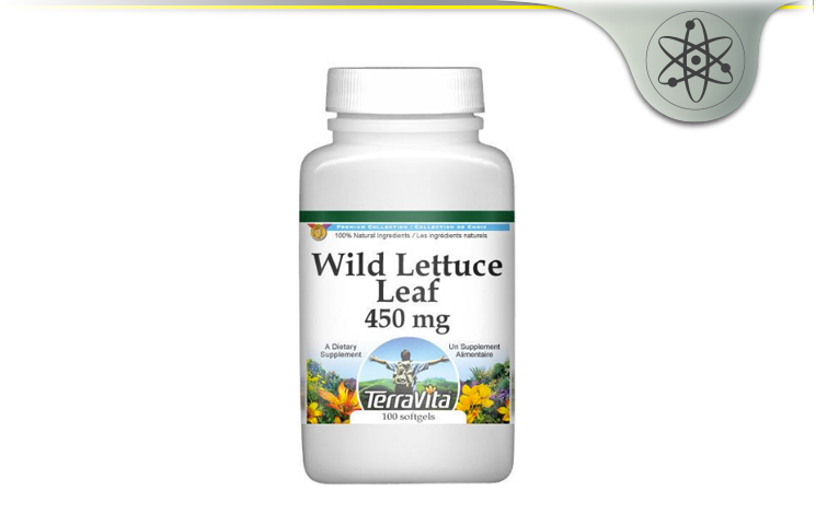 terravita wild lettuce leaf