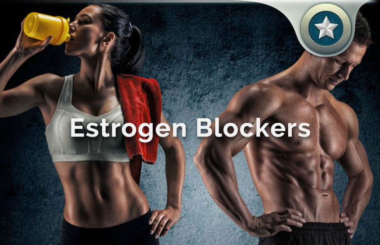 Estrogen Blockers