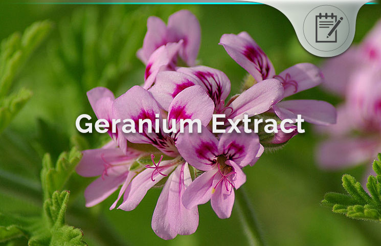 geranium extract