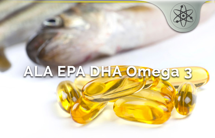 DHA Vs ALA Vs EPA Omega 3 Health Benefits