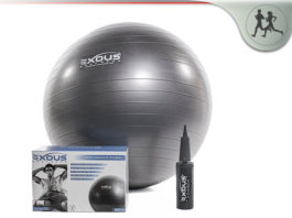 Exous Bodygear Exercise Ball