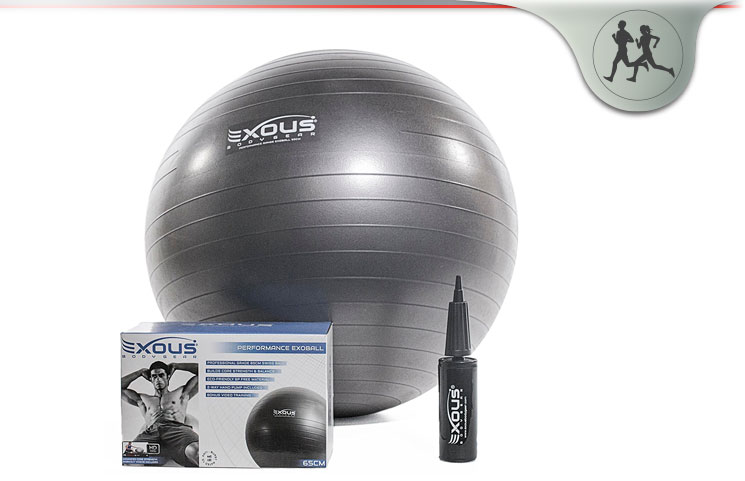 Exous Bodygear Exercise Ball