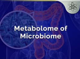 Metabolome of Microbiome