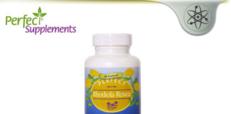 Perfect Rhodiola Rosea – Boost Immune System & Reduce Stress? Perfect Rhodiola Rosea