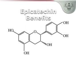 epicatechin benefits