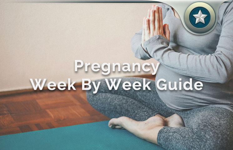 Pregnancy Week By Week Guide