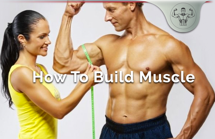 Muscle Building Guide
