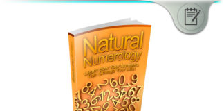 Natural Numerology – Understand Your Personality By Numbers? Natural Numerology
