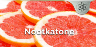 Nootkatone – All Natural Grapefruit Extract Insect Repellent? Nootkatone