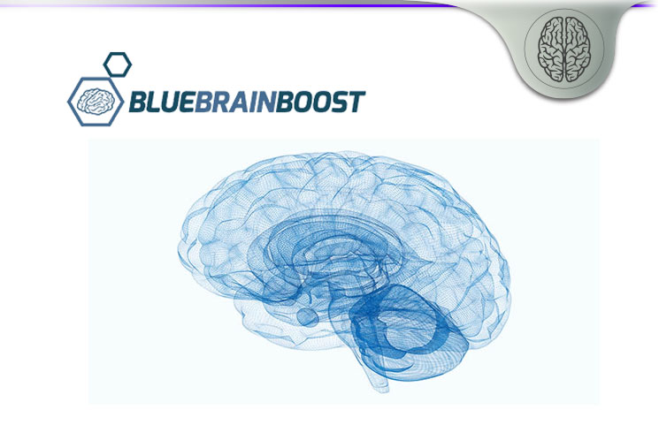 blue brain boost