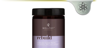 Wellthy Rebuild – Hydrolyzed Collagen Protein Nutraceutical? Wellthy Rebuild