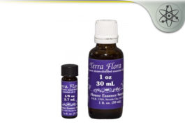 Terra Flora Essential Oils