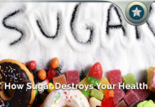 How Sugar Destroys Your Health – Does Sugar Make You Stupid? How Sugar Destroys Your Health