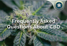 CBD Oil FAQ – Top 9 Cannabidiol Extract Health Questions Answered? CBD Oil FAQ