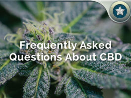 CBD Oil FAQ