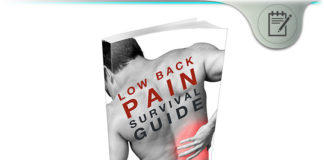 Low Back Pain Survival Guide – Exercises to Erase Low Back Pain? Low Back Pain Survival Guide