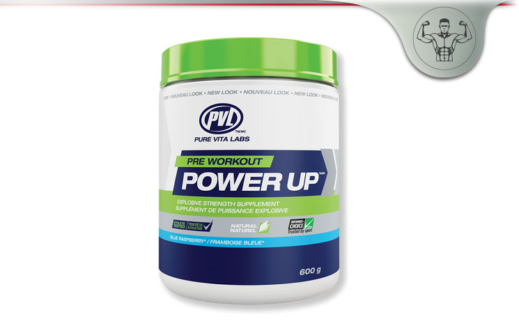 PVL POWER UP